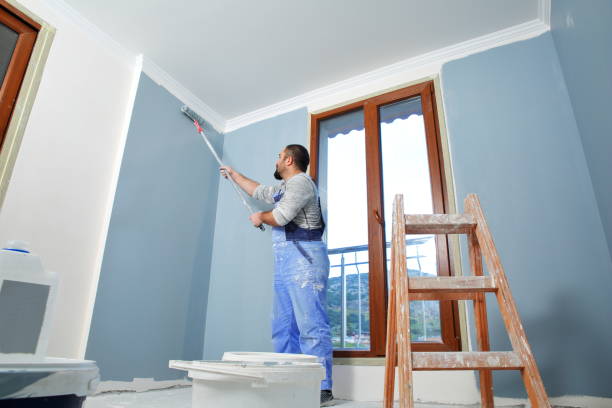 Best Black Mold Removal  in , IN