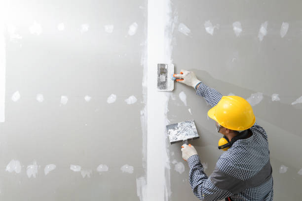 Best Asbestos and Lead Testing During Mold Inspection  in , IN