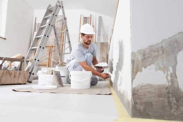 Best Mold Remediation for Healthcare Facilities  in , IN