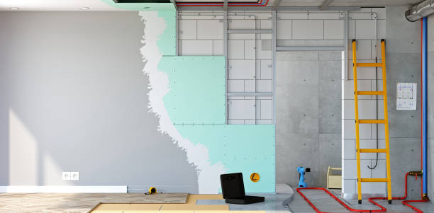 Best Basement Mold Removal  in , IN