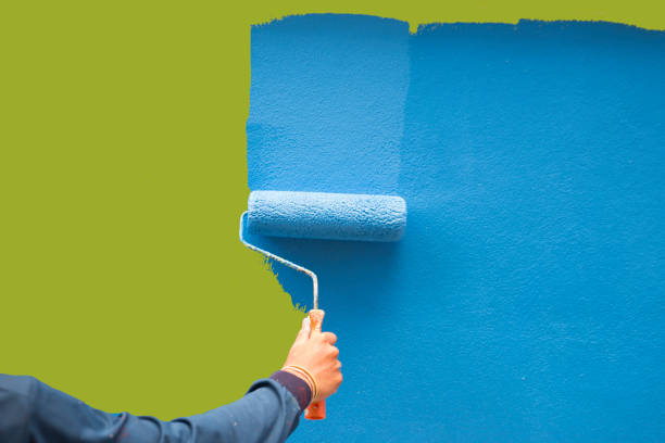  , IN Mold Removal Pros